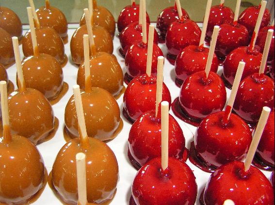 Candy Apples Net Worth